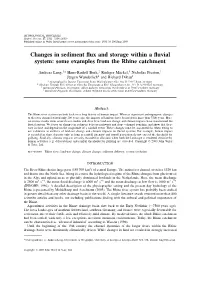 Changes in Sediment Flux and Storage Within a Fluvial System: Some