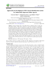 Approaches in Development of DNA Based Identification System for Industrially Important Timber Species