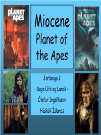 Miocene Planet of the Apes
