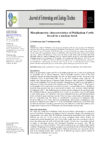 Morphometric Characteristics of Pulikulam Cattle Breed in a Nucleus