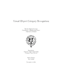 Visual Object Category Recognition