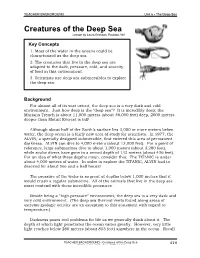 Creatures of the Deep Sea Lesson by Laura Erickson, Poulsbo, WA