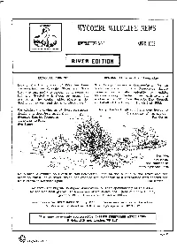 Newsletter 08