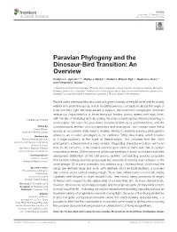 Paravian Phylogeny and the Dinosaur-Bird Transition: an Overview