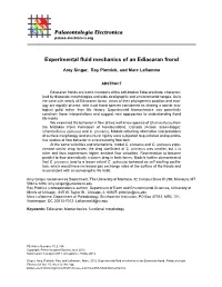 Experimental Fluid Mechanics of an Ediacaran Frond