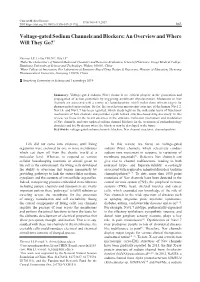 Voltage-Gated Sodium Channels and Blockers: an Overview and Where Will They Go?*