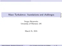 Wave Turbulence: Foundations and Challenges