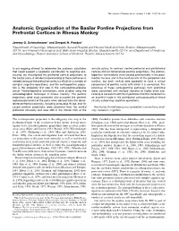 Anatomic Organization of the Basilar Pontine Projections from Prefrontal Cortices in Rhesus Monkey