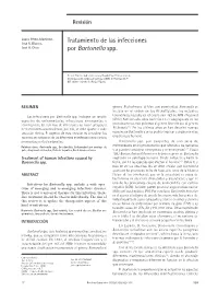 Bartonella Spp