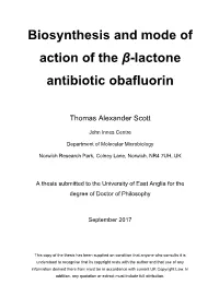 Biosynthesis and Mode of Action of the Β-Lactone Antibiotic Obafluorin