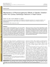 Mechanisms of Pharmacogenomic Effects of Genetic Variation Within the Cardiac Adrenergic Network in Heart Failure