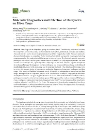 Molecular Diagnostics and Detection of Oomycetes on Fiber Crops