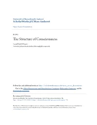 The Structure of Consciousness