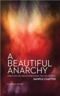 A Beautiful Anarchy When the Life Creative Becomes the Life Created David Duchemin