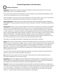 Protists/Fungi Station Lab Information