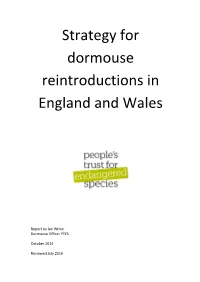Strategy for Dormouse Reintroductions in England and Wales