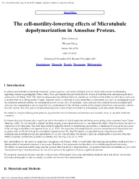 The Cell-Motility-Lowering Effects of Microtubule Depolymerization in Amoebae Proteus