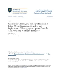 Systematics, Climate, and Ecology of Fossil and Extant Nyssa (Nyssaceae, Cornales) and Implications of Nyssa Grayensis Sp