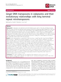 Ginger DNA Transposons in Eukaryotes and Their Evolutionary Relationships with Long Terminal Repeat Retrotransposons Weidong Bao, Vladimir V Kapitonov, Jerzy Jurka*