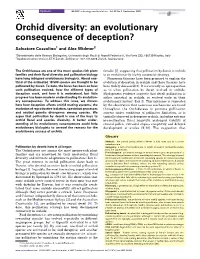 Orchid Diversity: an Evolutionary Consequence of Deception?