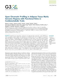 Open Chromatin Profiling in Adipose Tissue Marks Genomic Regions with Functional Roles in Cardiometabolic Traits