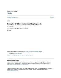 Principles of Differentiation and Morphogenesis