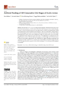 Artificial Feeding of All Consecutive Life Stages of Ixodes Ricinus