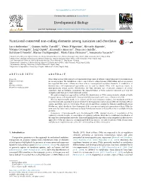 Functional Conserved Non-Coding Elements Among Tunicates and Chordates