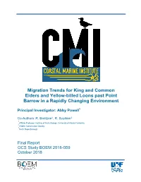Migration Trends for King and Common Eiders and Yellow-Billed Loons Past Point Barrow in a Rapidly Changing Environment