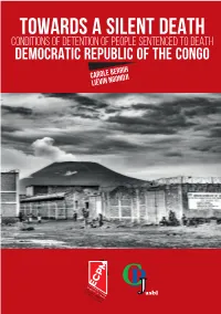 Abolition of the Death Penalty in the Draft Congolese Criminal Code, Suggesting Major Developments in This Direction