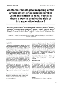 Anatomo-Radiological Mapping of the Arrangement of Ascending Lumbar Veins in Relation to Renal Veins: Is There a Way to Predict the Risk of Intraoperative Lesions?