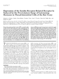Expression of the Insulin Receptor-Related Receptor Is Induced by the Preovulatory Surge of Luteinizing Hormone in Thecal-Interstitial Cells of the Rat Ovary