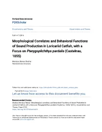 Morphological Correlates and Behavioral Functions of Sound Production in Loricariid Catfish, with a Focus on Pterygoplichthys Pardalis (Castelnau, 1855)