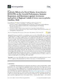 Probiotic Effects of a Novel Strain, Acinetobacter KU011TH, on The