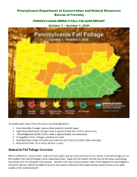 FALL FOLIAGE REPORT October 1 – October 7, 2020