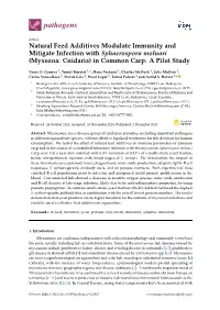 In Common Carp: a Pilot Study
