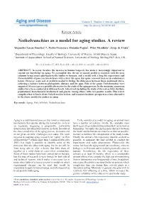 Nothobranchius As a Model for Aging Studies. a Review