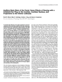 Auditory Brain Stem of the Ferret: Some Effects of Rearing with a Unilateral Ear Plug on the Cochlea, Cochlear Nucleus, and Projections to the Inferior Colliculus