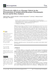 Clostridioides Difficile As a Dynamic Vehicle for The