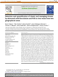 Detection and Quantification of Classic and Emerging Viruses by Skimmed