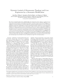 Dynamic Control of Chromosome Topology and Gene Expression by a Chromatin Modification