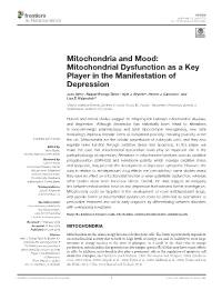 Mitochondria and Mood: Mitochondrial Dysfunction As a Key Player in the Manifestation of Depression