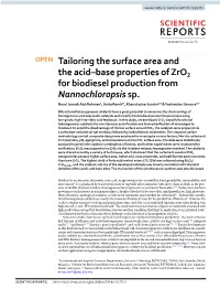 Tailoring the Surface Area and the Acid–Base Properties of Zro2 for Biodiesel Production from Nannochloropsis Sp