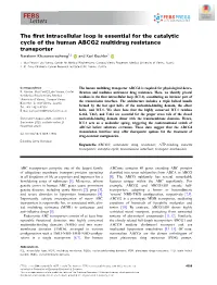 The First Intracellular Loop Is Essential for the Catalytic Cycle of the Human