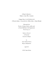 A Shape for Queerness: Glimpses, Loops, Holes, Language