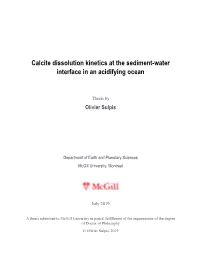 Calcite Dissolution Kinetics at the Sediment-Water Interface in an Acidifying Ocean