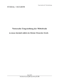 Naturnahe Umgestaltung Der Mittelriede