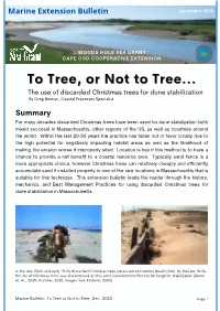 The Use of Discarded Christmas Trees for Dune Stabilization In