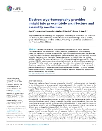 Electron Cryo-Tomography Provides Insight Into Procentriole Architecture