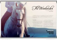The Warlander Horse Is Showing They Are up for This Task on the Large and Small Screen
